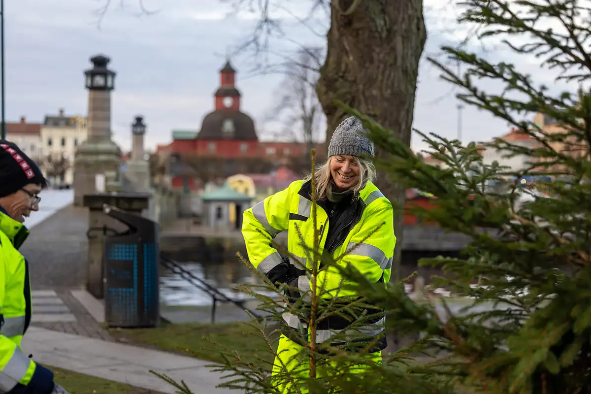 Medarbetare vid granar