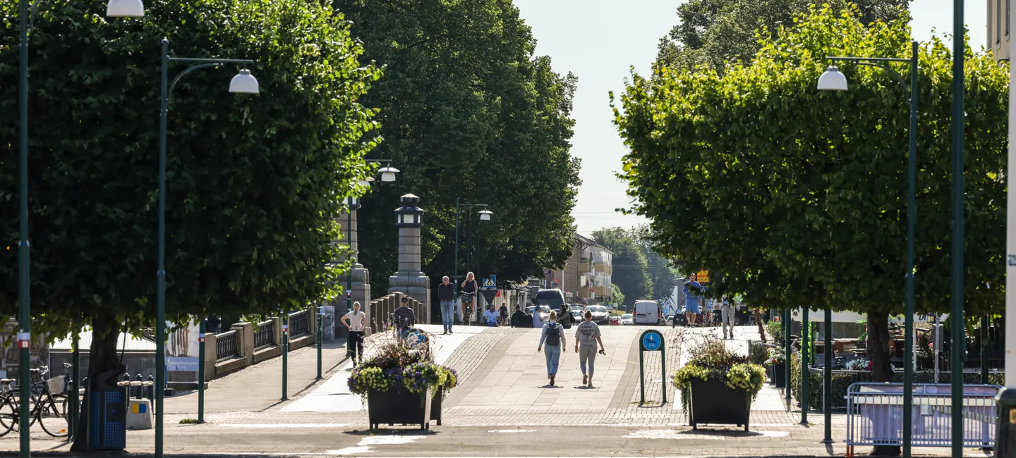 En grupp människor som cyklar längs en gata.